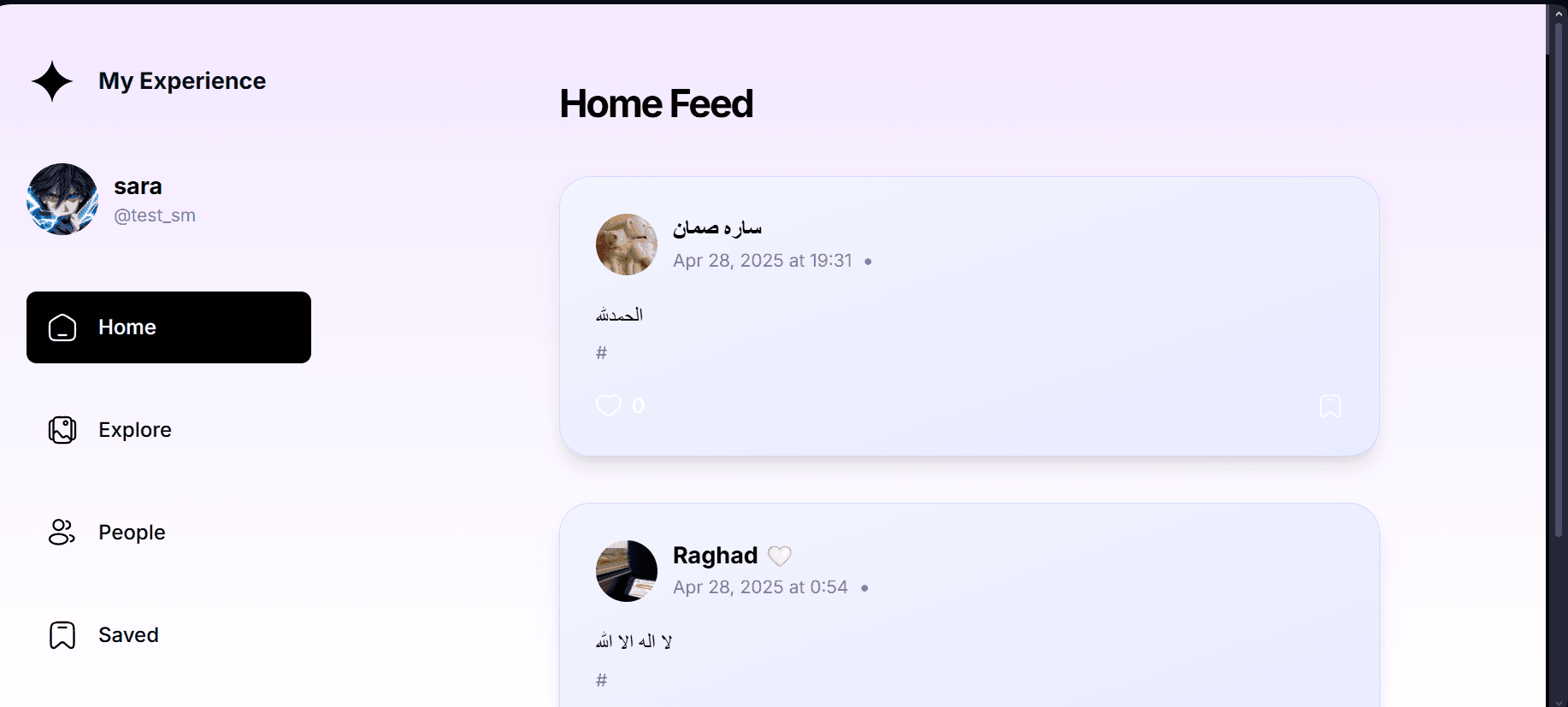My Experience – Social Media Platform